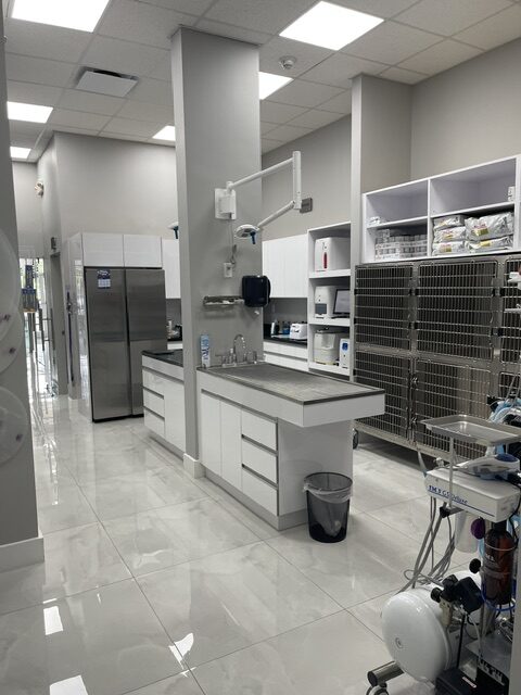 tamiami trail veterinary hospital