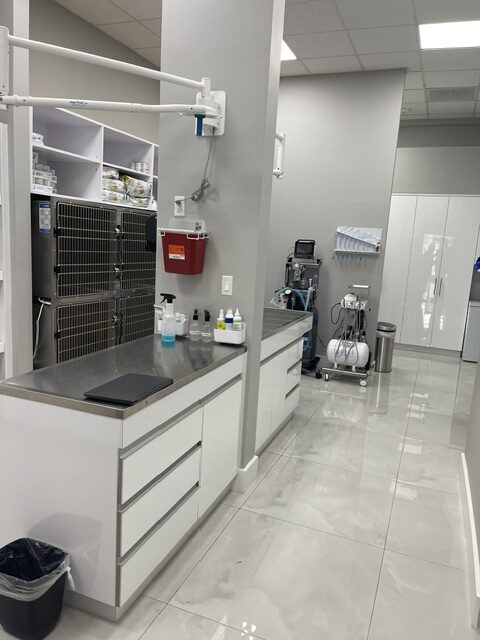 tamiami trail animal hospital veterinary